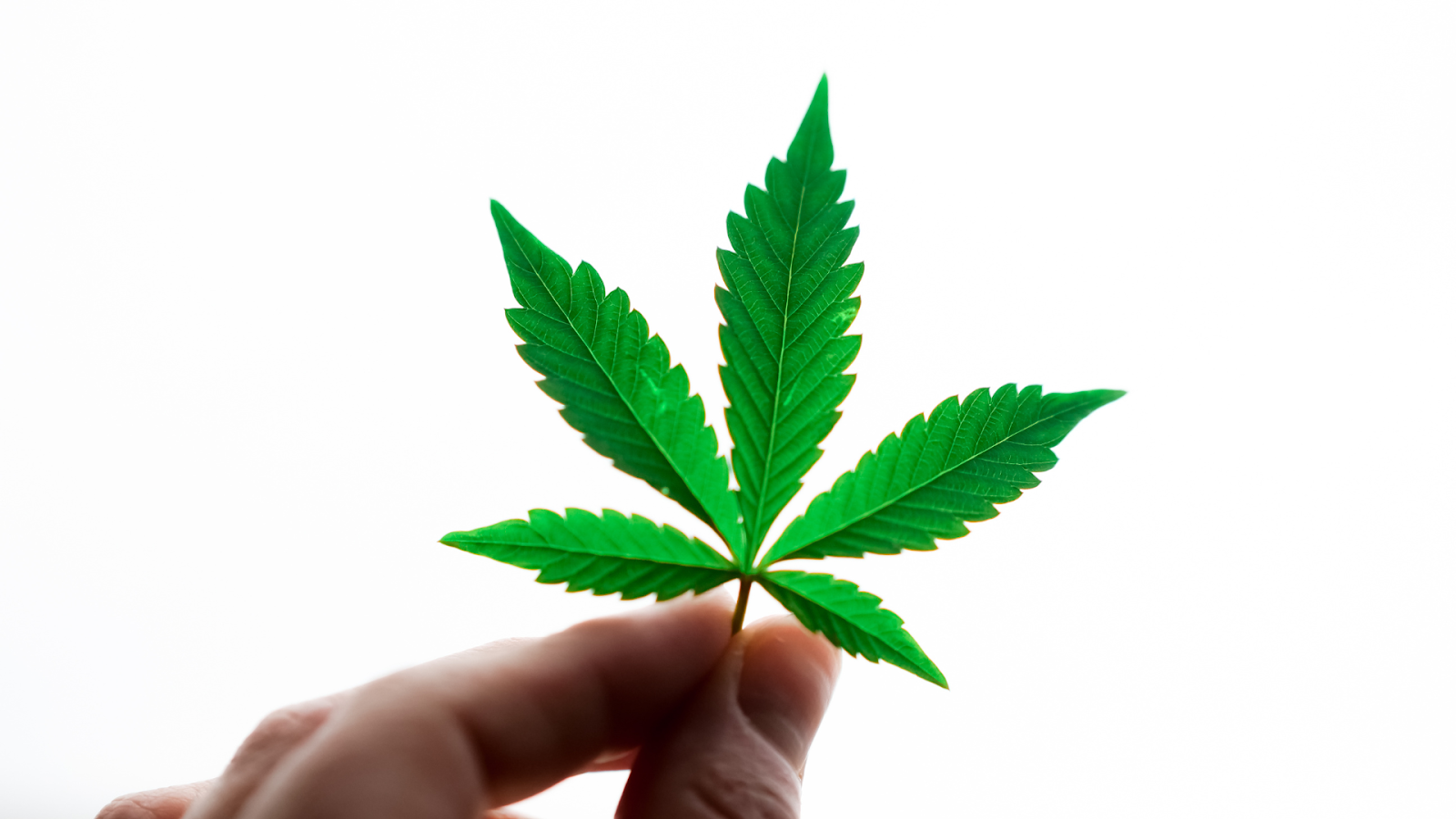 Microdosing Cannabis 101: Effects, Dosage, and Usage